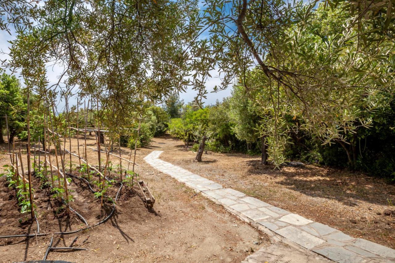 Villa Hidden Gem Sithonia Metochi Agias Kiriakis Exterior foto